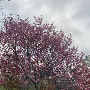 Meet your Posher, Valeria